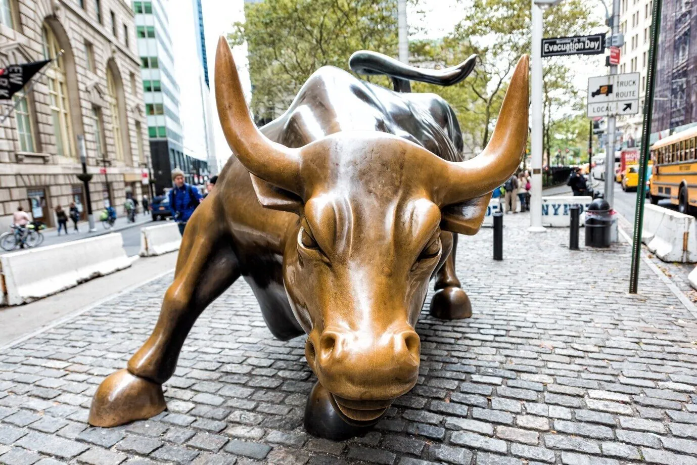 Stock Market bull run